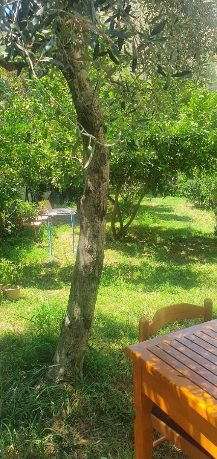 Xho'S Forest Guest House Berat Bagian luar foto