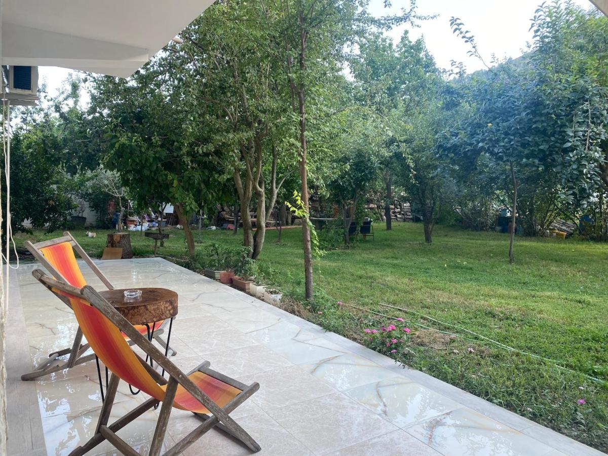 Xho'S Forest Guest House Berat Bagian luar foto