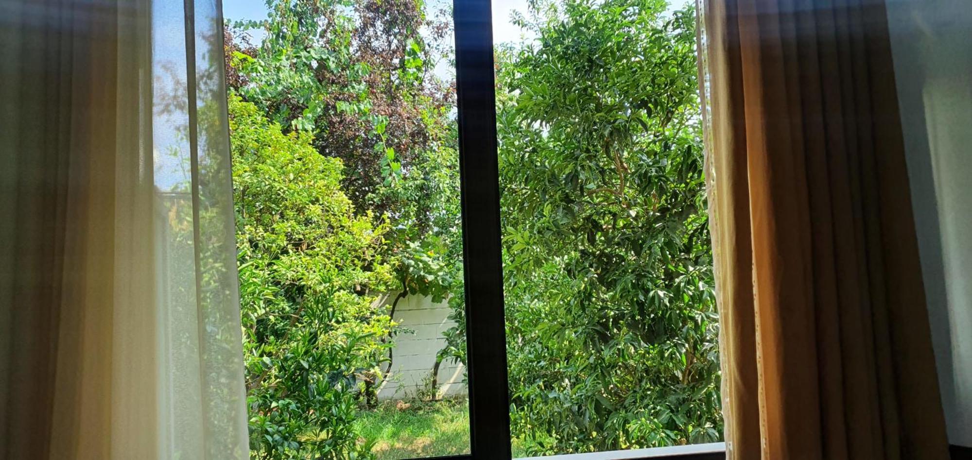 Xho'S Forest Guest House Berat Ruang foto